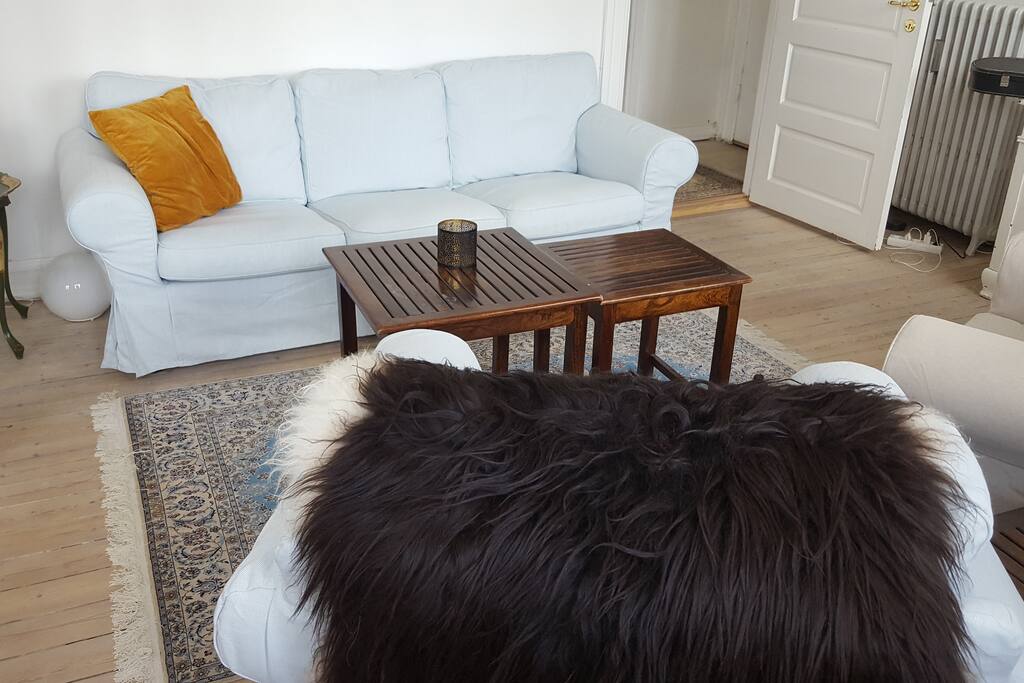 Dagligstue med behagelige sofaer