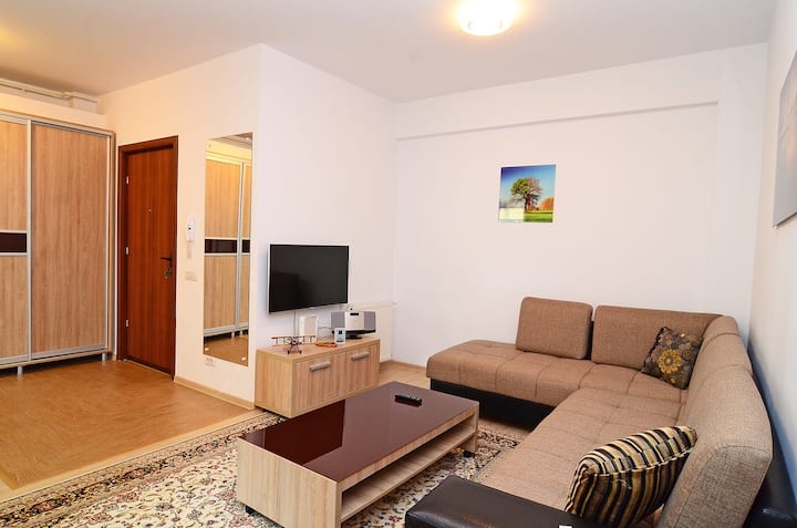 Dnevni boravak s kaučem na razvlačenje, koji može primiti dvije osobe.
