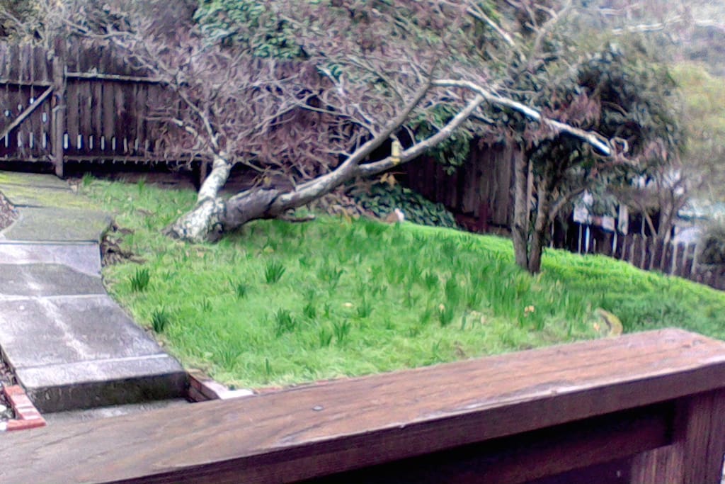 Lower Deck to RV Cement Pad