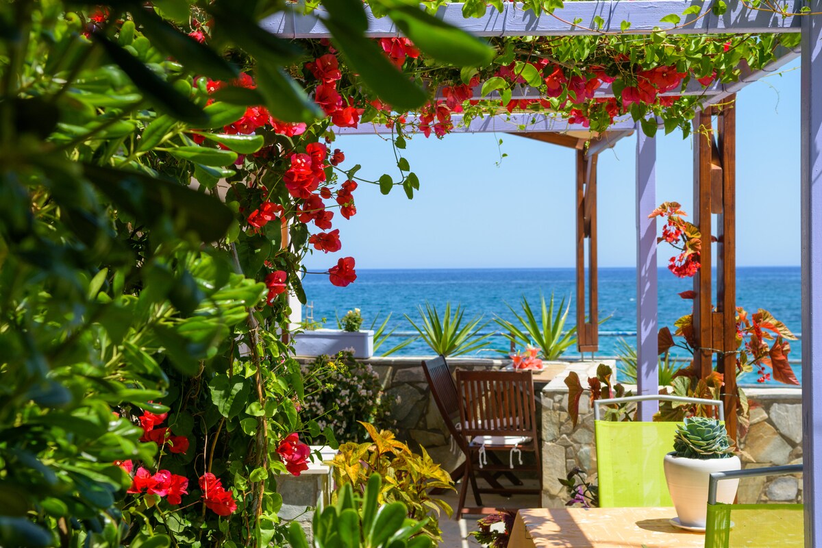 A view from a garden patio framed by vibrant red flowers and lush greenery. The tranquil sea glimmers in the background, with a clear sky above. Wooden chairs and a small table are arranged in the outdoor space, inviting relaxation.