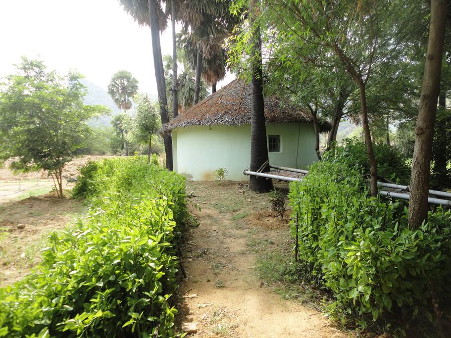 Earthbag circular cottage 4 people