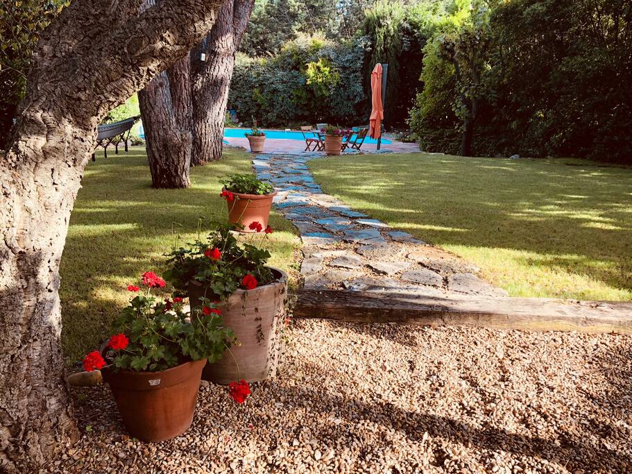 Pool and Garden