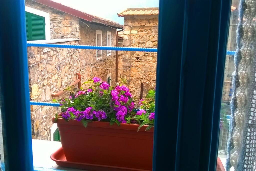 windows
