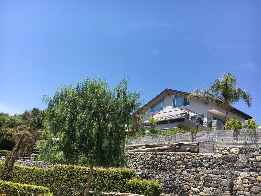 front of the House, erraced, newly landscaped grounds, with large olive trees and citrus trees