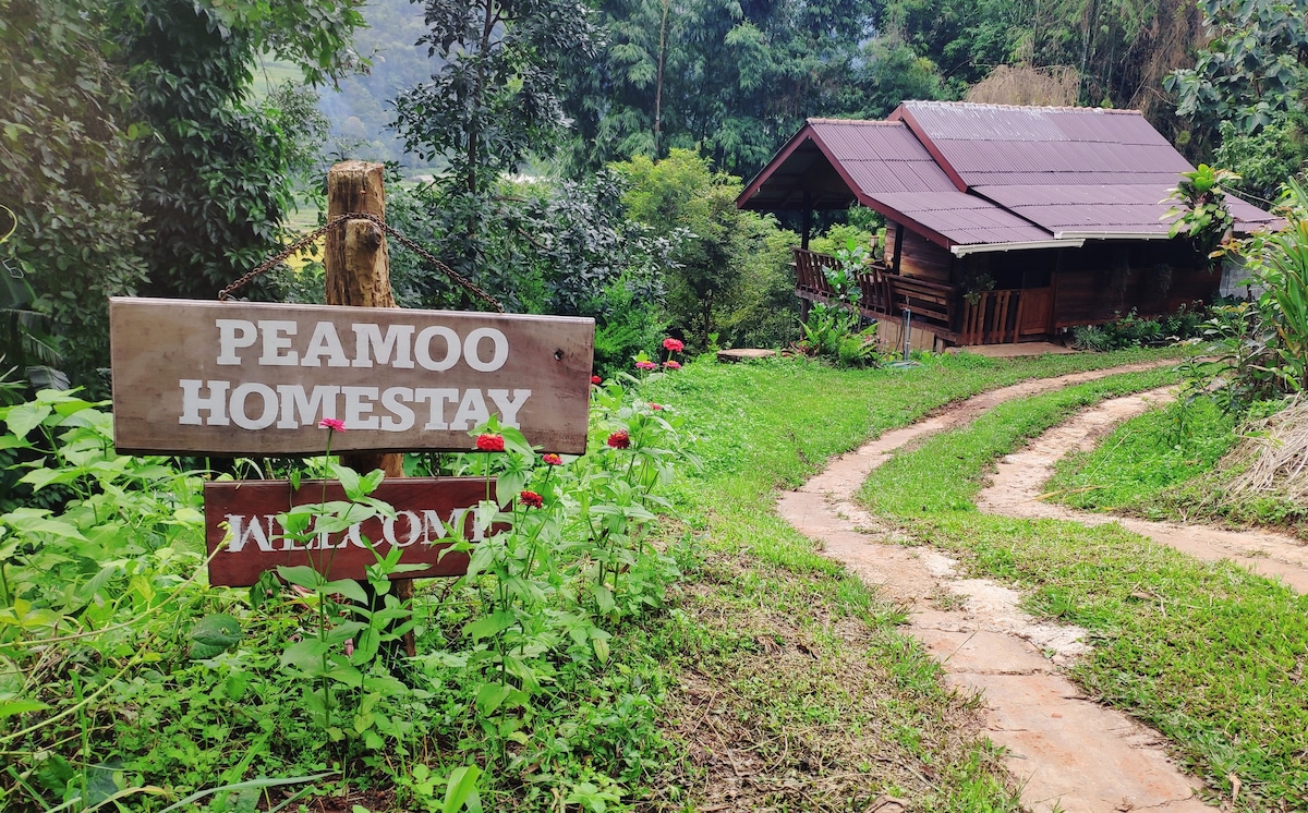 A winding dirt path leads through lush greenery toward a wooden homestay, nestled among trees. A rustic sign welcomes guests to 'Peamoo Homestay.' The surrounding landscape features vibrant foliage and flowers, enhancing the serene atmosphere of the location.