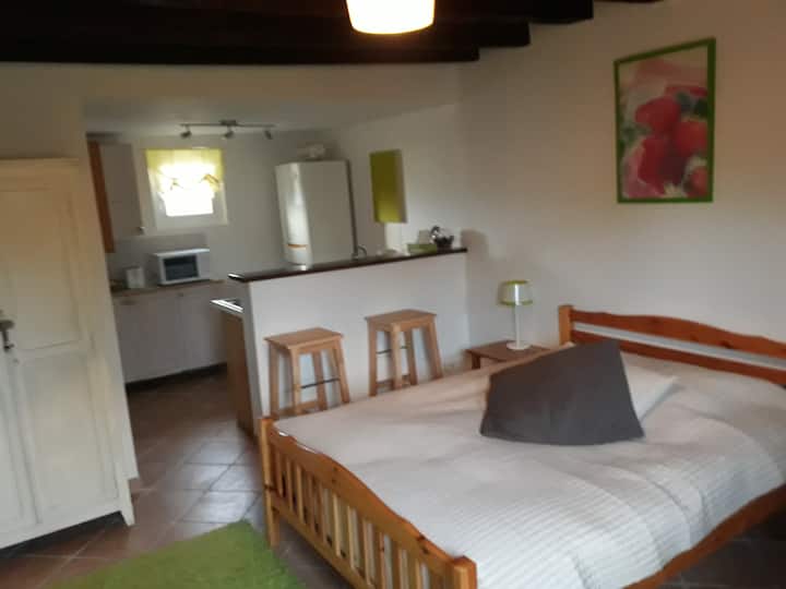 Chambre 5 dans le studio. Accès par porte extérieure. 