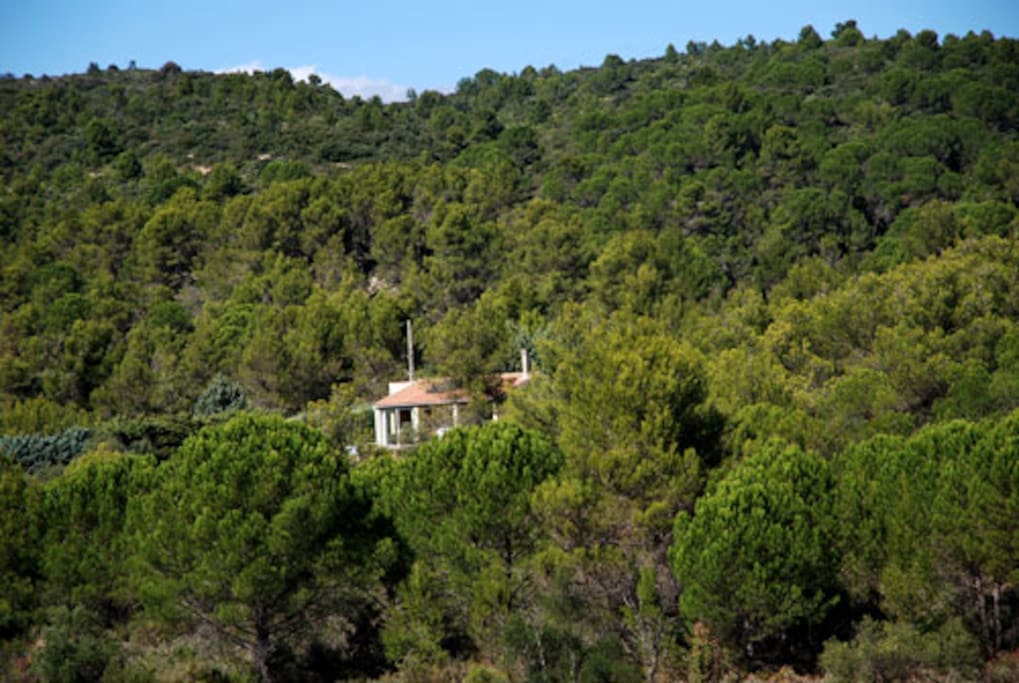 house amidst surroundings
