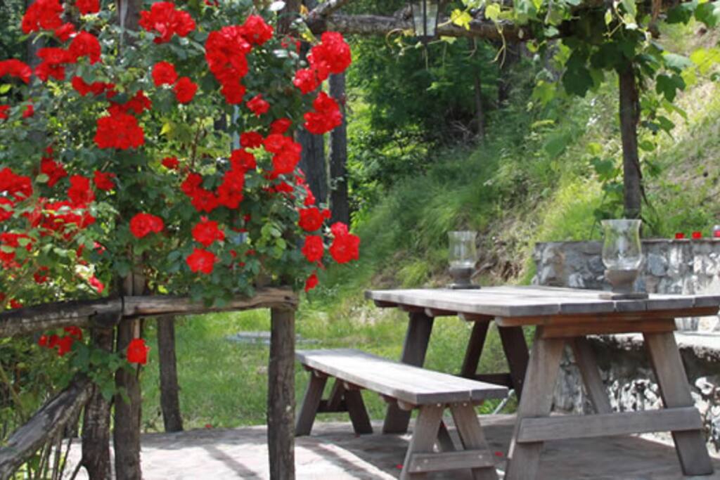 Shaded pergola for eating