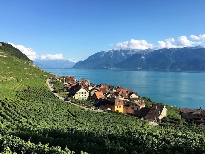 Lavaux Швейцария