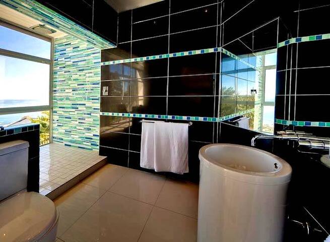 Amazing Penthouse Apt with exceptional sea view gallery image 5