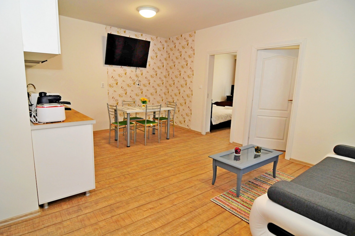 A modern living area is depicted featuring a dining table with four chairs and a flat-screen television mounted on the wall. A small coffee table sits on a vibrant rug. The open layout connects to the kitchen area, visible beyond the counter.