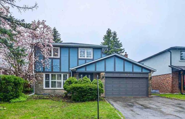 Toronto Pool Retreat gallery image 3