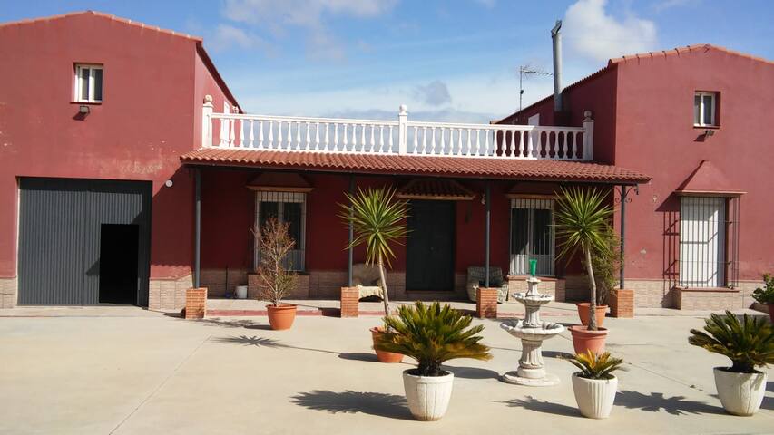Visit the Ducal Village of Osuna and its surroundings