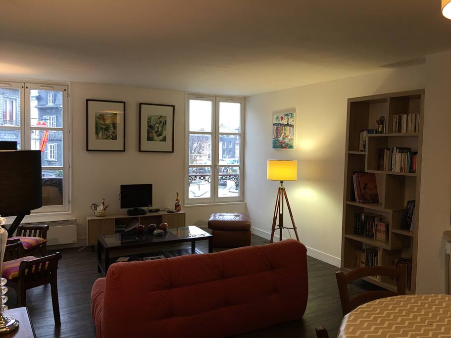 un beau salon convivial
