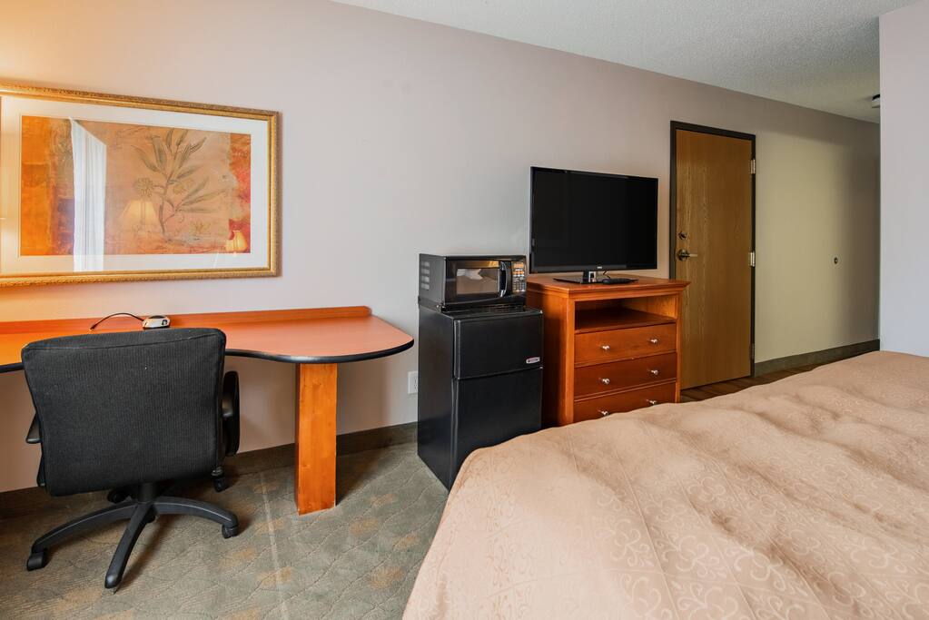 TV, Desk, Fridge and Microwave