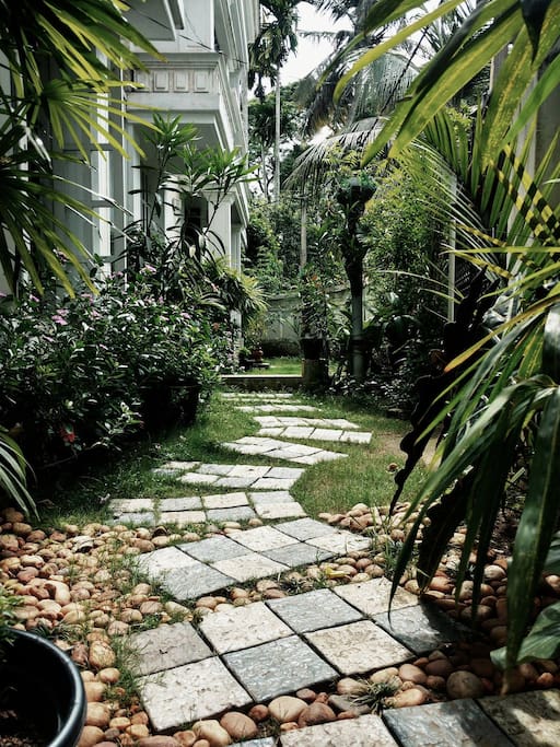 The Garden