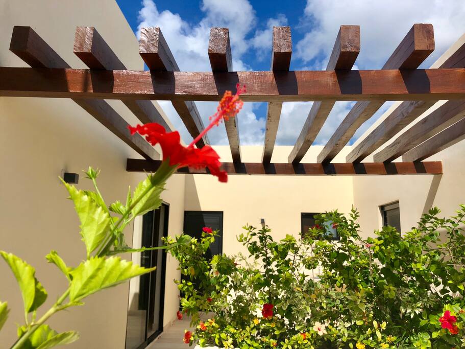 Decorated with beautiful, local vegetation
