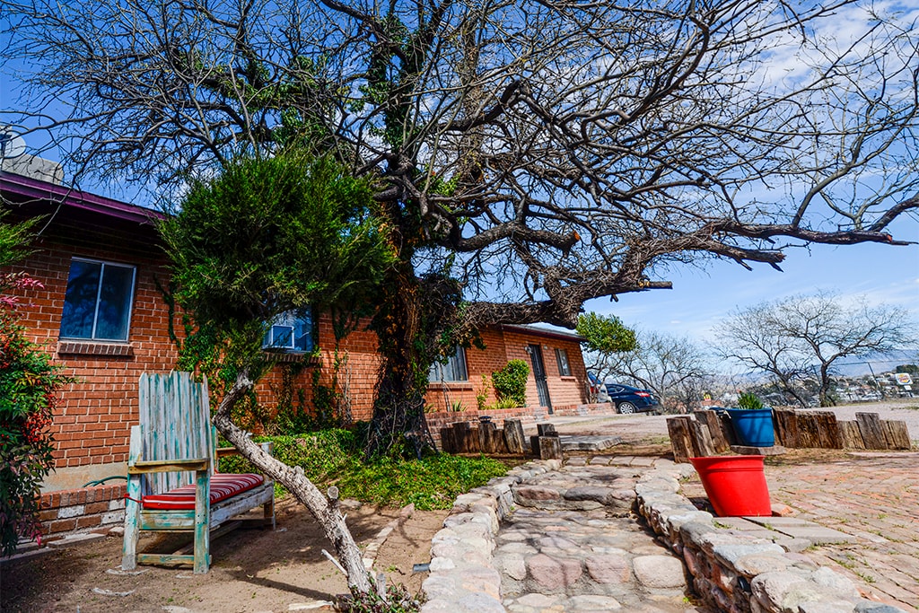 A serene outdoor space features a stone pathway leading to a brick house, surrounded by bare trees. A wooden chair sits beside a decorative red pot, while a neatly landscaped area invites relaxation. The sky is clear, enhancing the peaceful atmosphere.