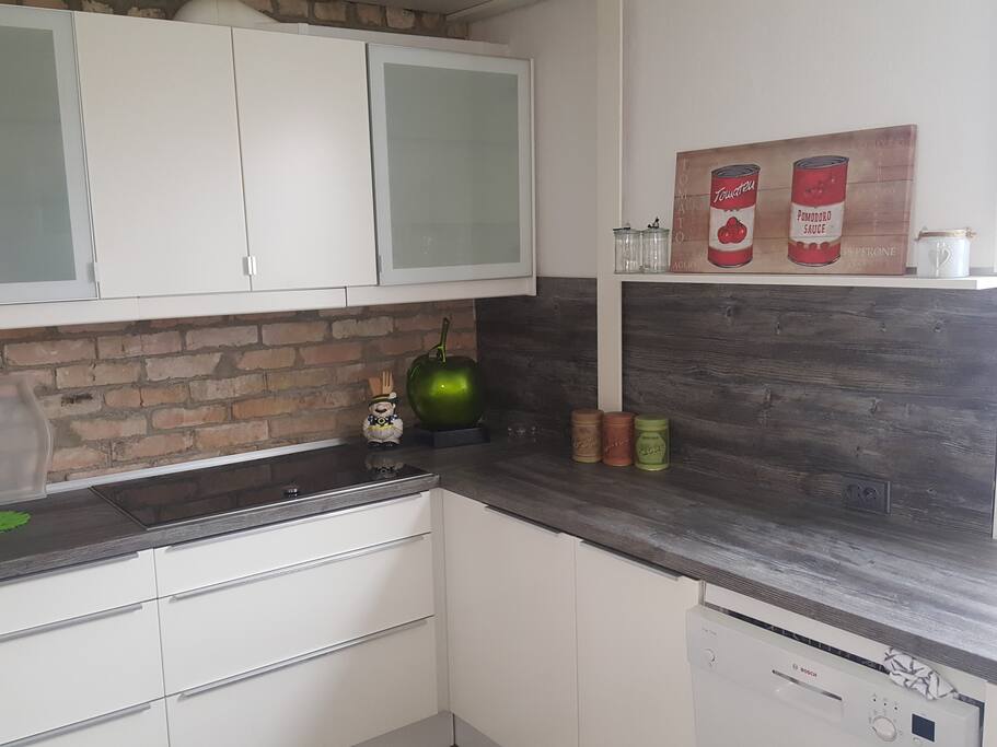 Moderne Küche mit Induktionsherd,Wasserkocher sowie Geschirrspüler und Backofen