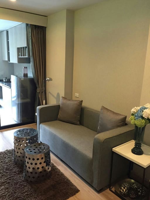Living room sofa set