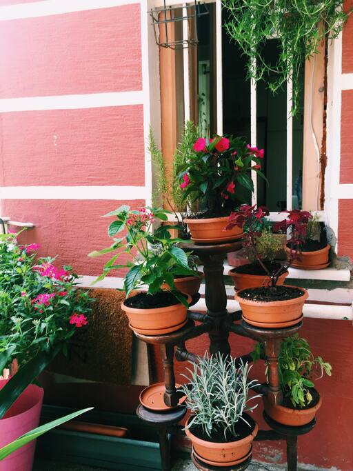 Flowers all over the house