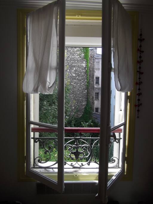 View to the garden