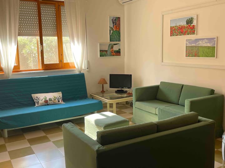 Zona living