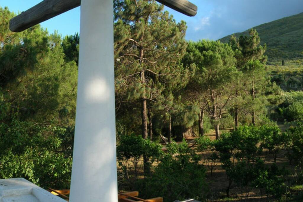 Panorama dal terrazzo (vista montagna 1)