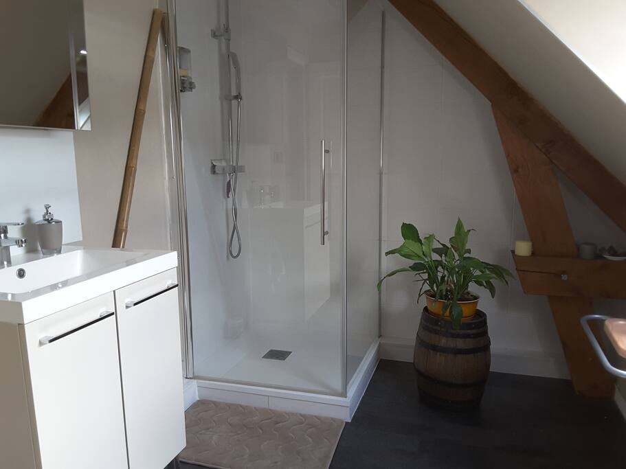 Salle de bain ,tendance