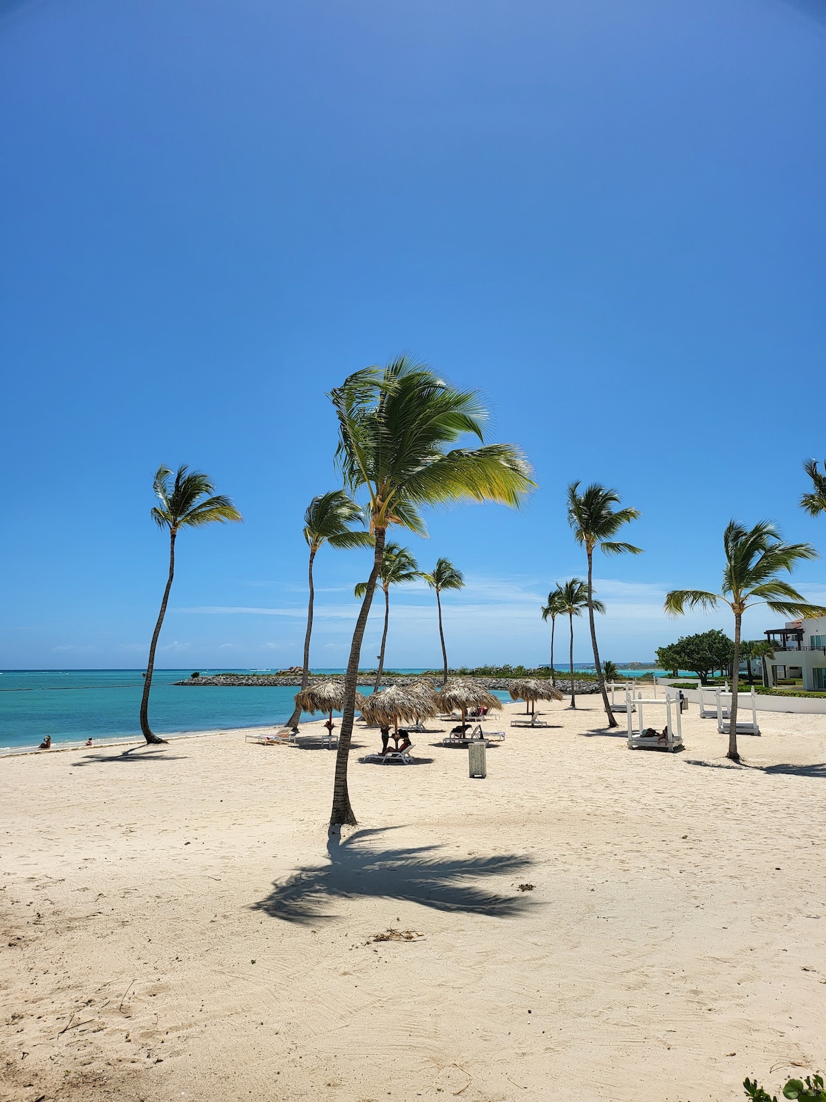 A sandy beach is lined with tall palm trees swaying in the gentle breeze. The clear blue sky complements the turquoise water, creating a serene atmosphere. Lounge chairs are arranged near the water's edge, inviting relaxation and enjoyment of the tranquil surroundings.