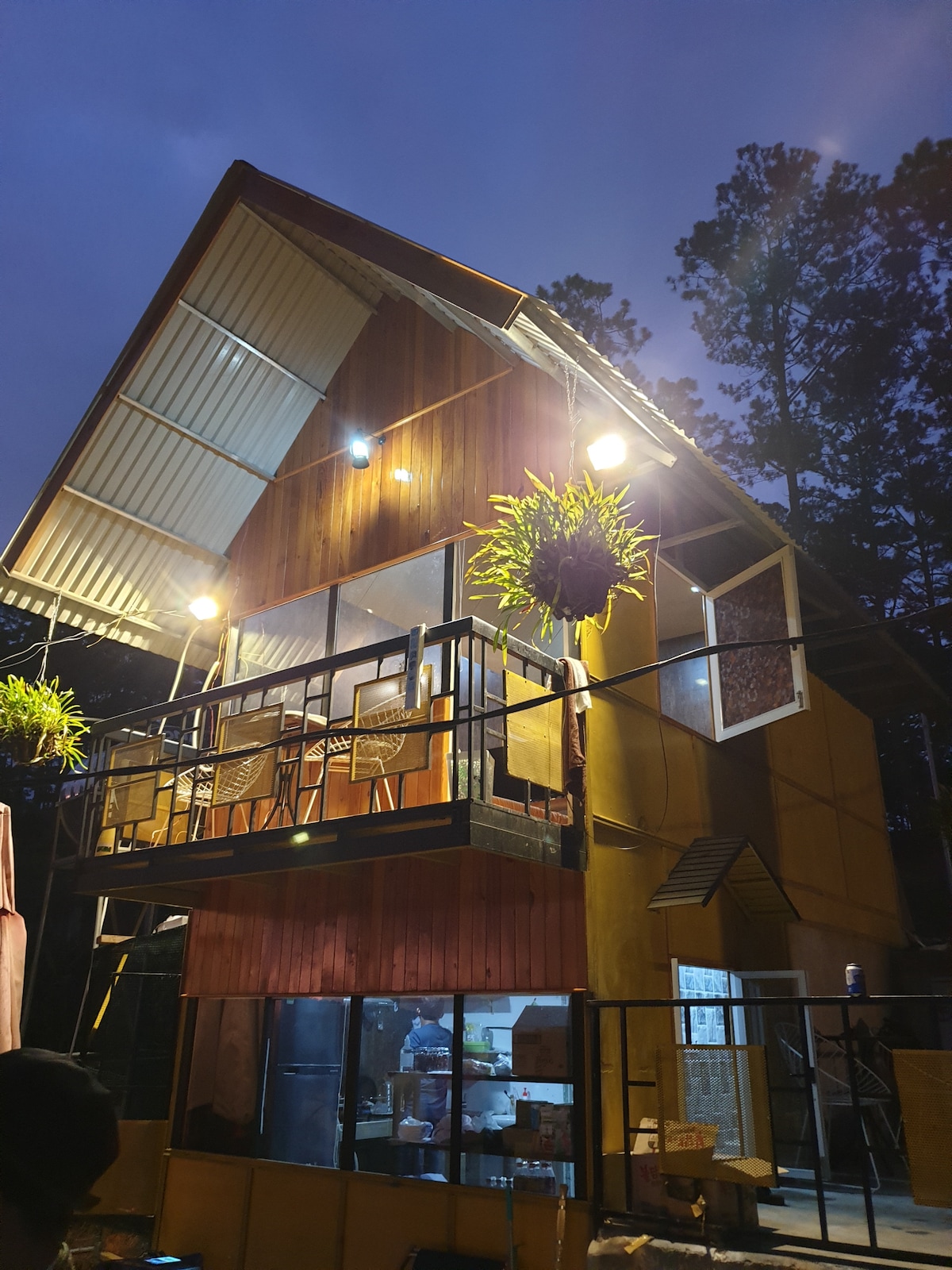 The exterior of a two-story house features wooden paneling and large glass windows. A balcony adorned with potted plants is visible at the front, illuminated by soft lights. The roof has a triangular shape, complemented by a modern design, blending with the surrounding tall pine trees.