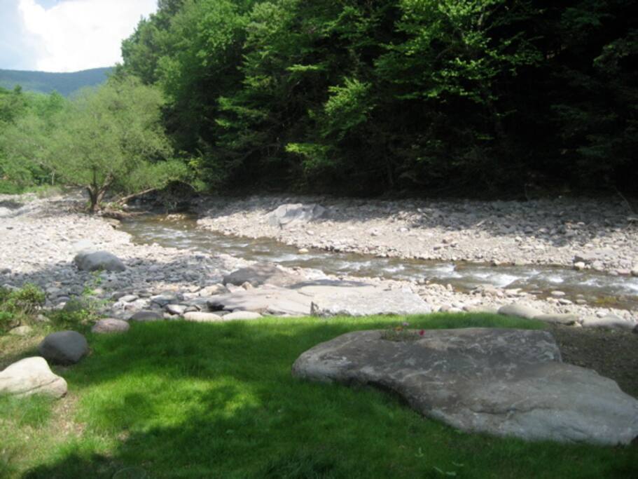 Beautiful stream, directly behind house.