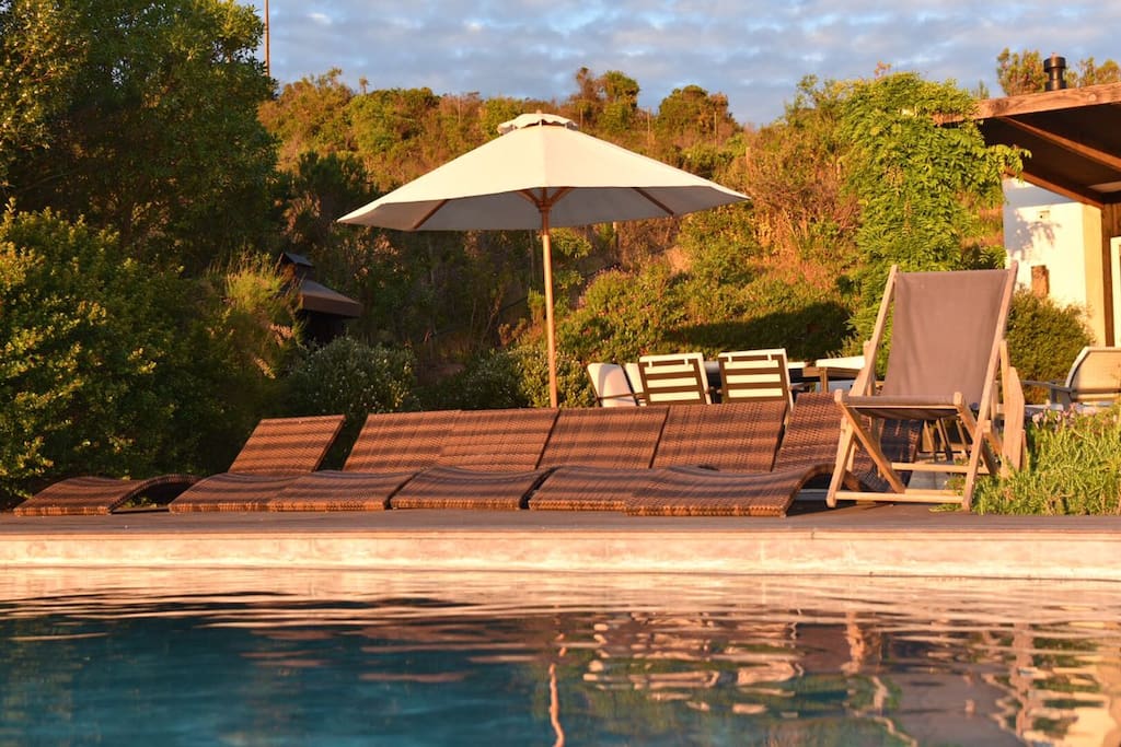 Pool - deck