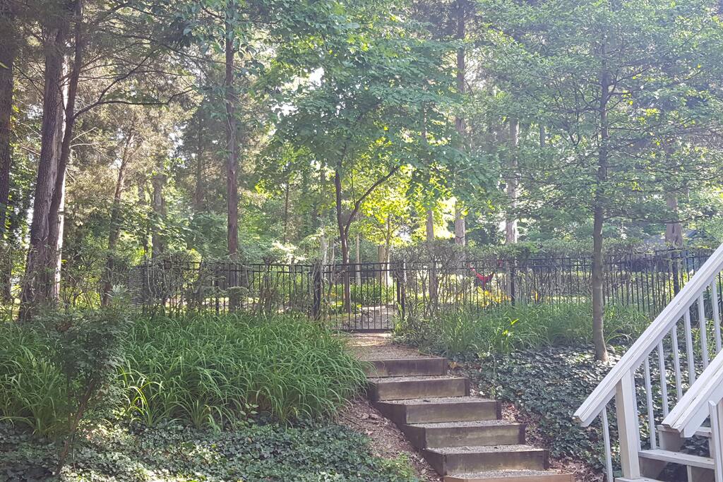 Wooded views from every room