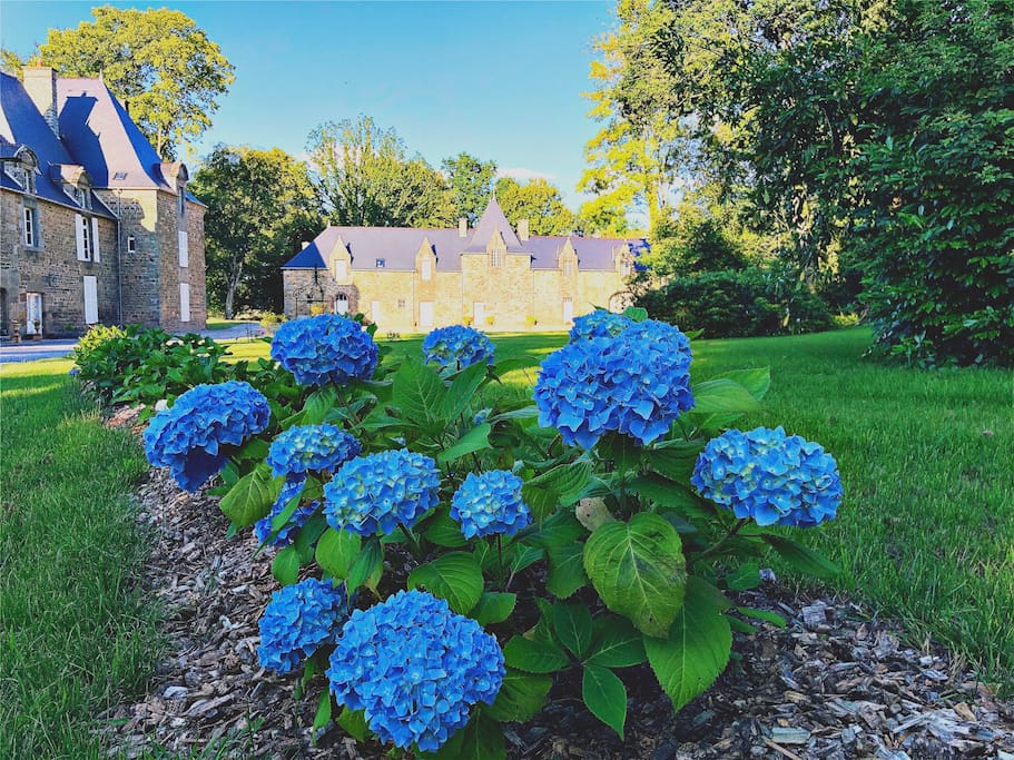 Un parc de 4 hectares arboré et fleuri
