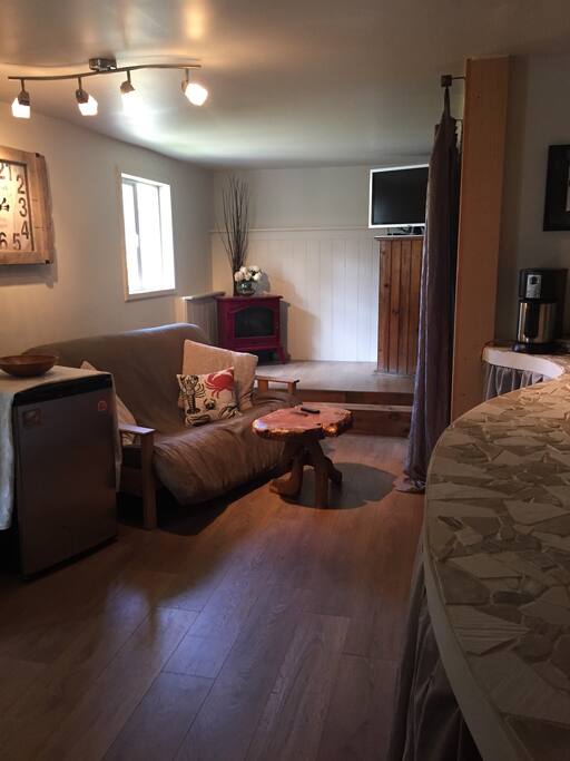 This is the second pull out futon bed and living space