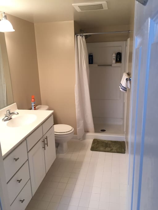Master Bathroom 1