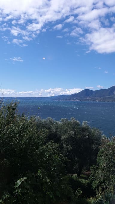 From the living room window