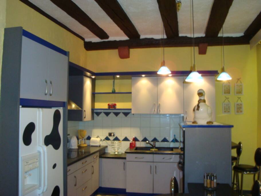 CUISINE EQUIPEE : FRIGO AMERICAIN, PLAQUE INDUCTION, HOTTE, LAVE VAISSELLE, FOUR, MICRO-ONDE....