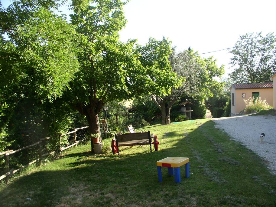 Giardino
