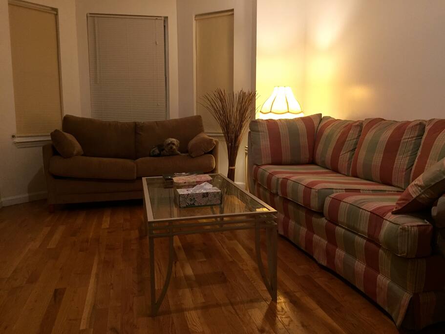 Living Area with Sleep Sofa
