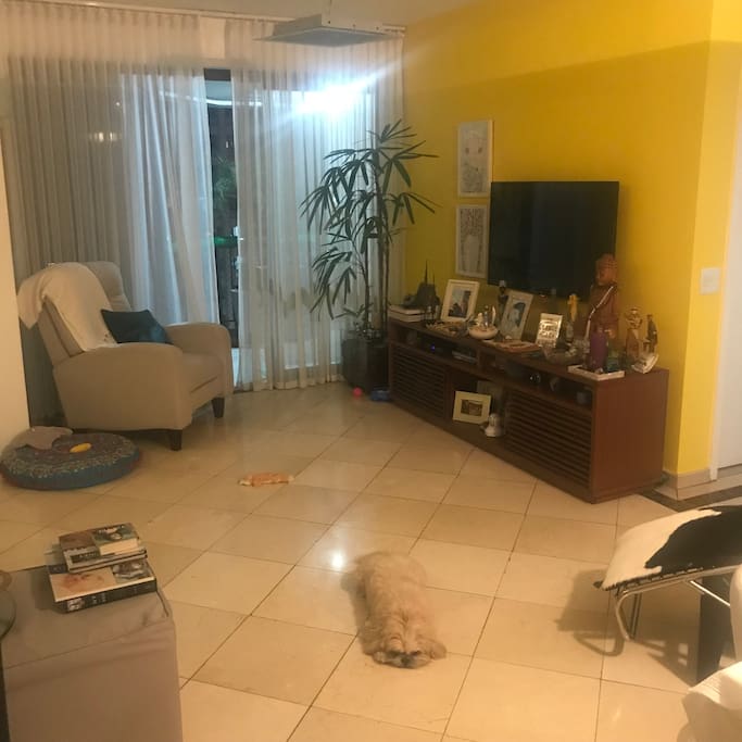 Tv room