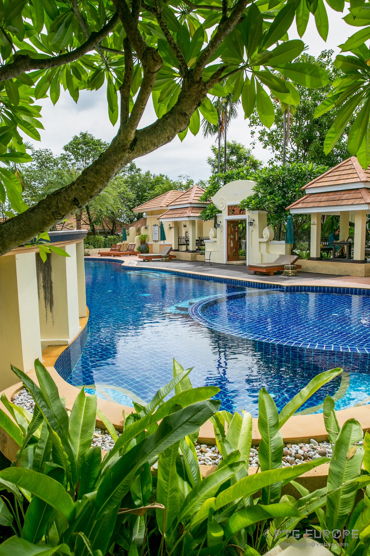 A swimming pool is framed by lush greenery, featuring a mosaic-like blue surface reflecting the sky. Surrounding the pool are well-maintained structures that provide shade. Palm trees and tropical plants contribute to a serene outdoor environment.