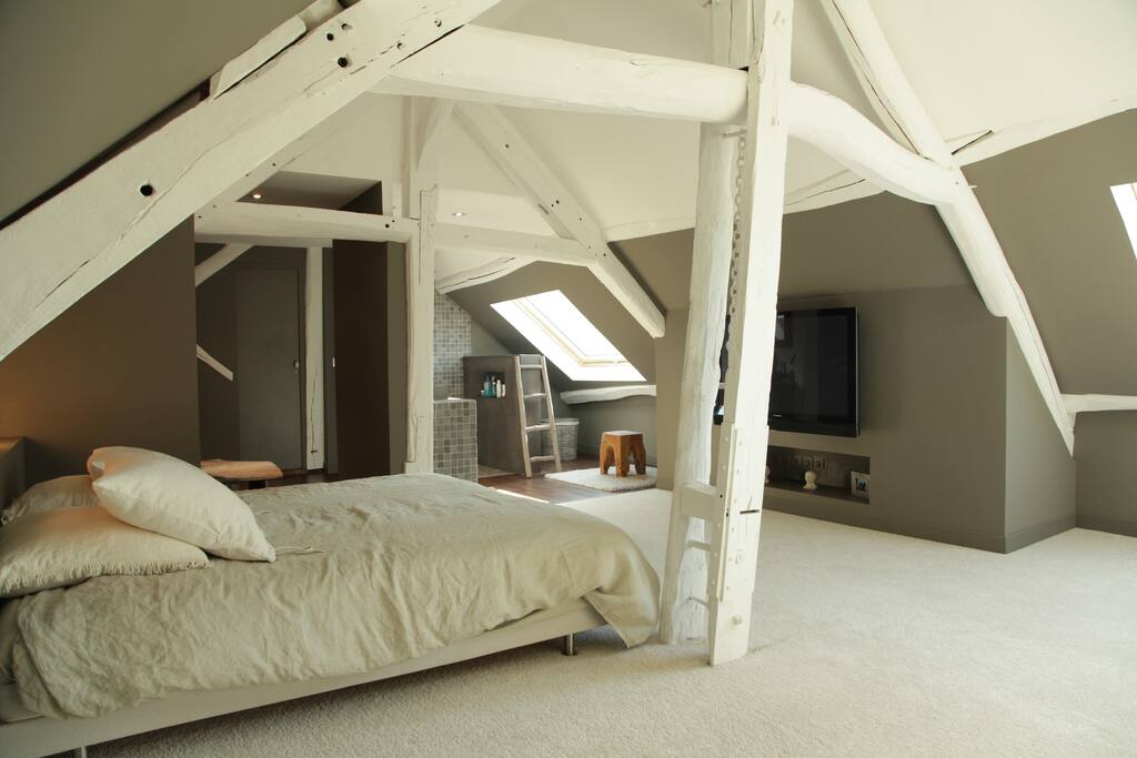 la chambre avec salle d'eau, TV et rangements