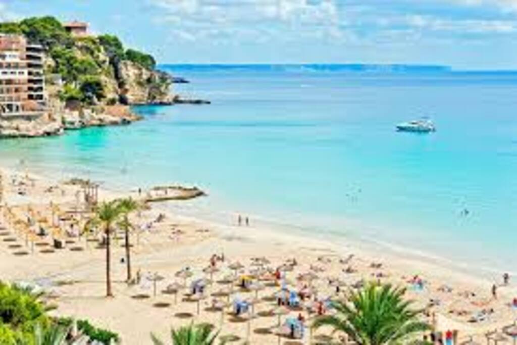 Beach Cala Mayor