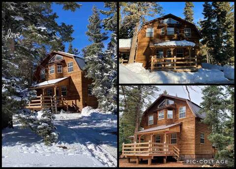 Cozy Newly Remodeled Cabin