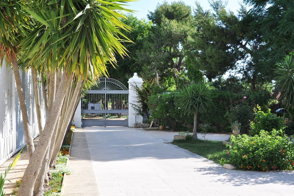 Ingresso