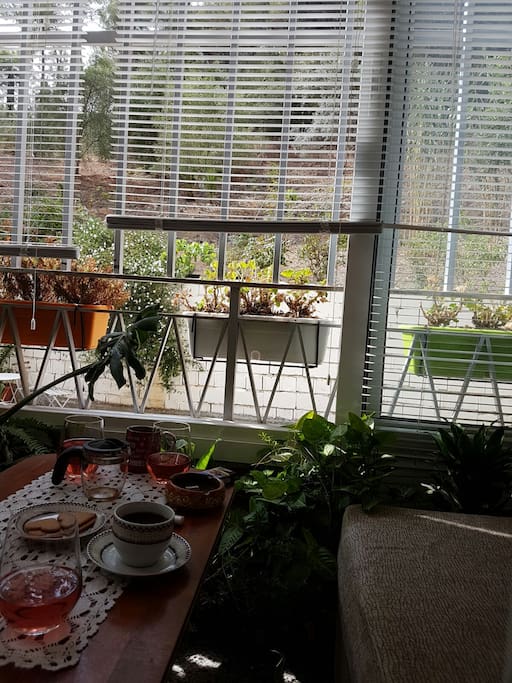 Shining and chilling out terrace with view to the park. You can seat in the coach, relax, reading a book or smoke.------- Luminosa y tranquila terraza con buena vista hacia el bosque. Donde se puede fumar,leer y descansar.