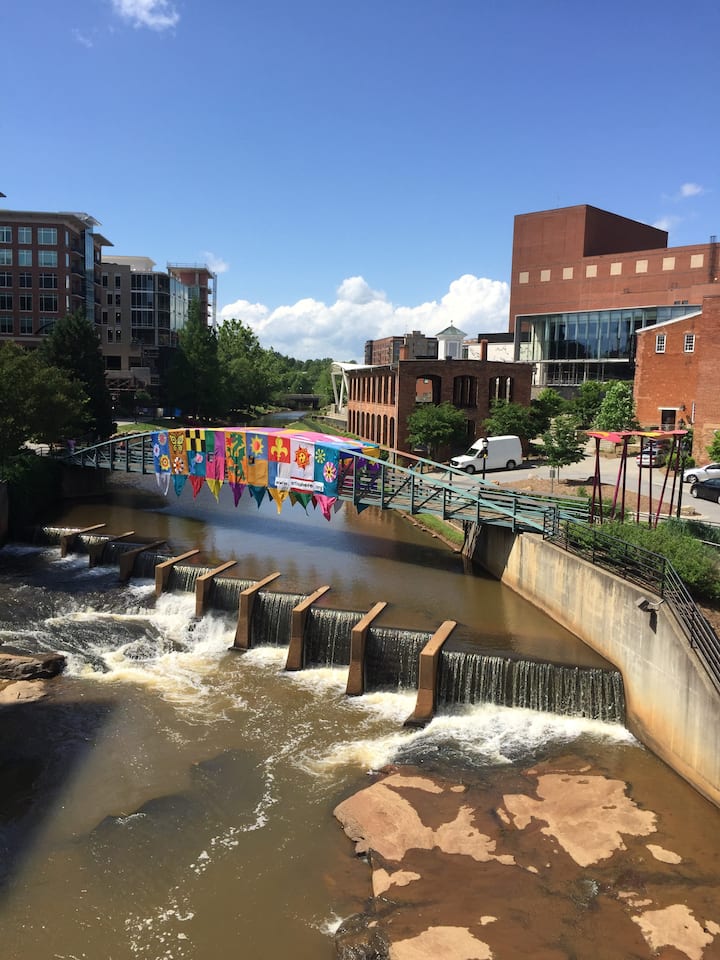 Condo in the Center of Downtown! Condominiums for Rent in Greenville