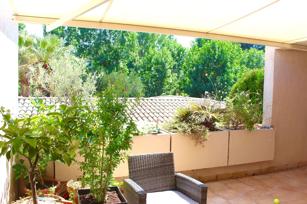 vue terrasse